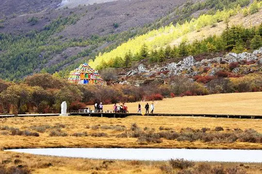Luorong Meadow