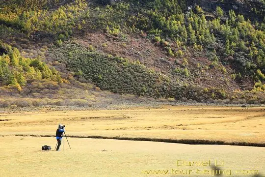Luorong Pasture