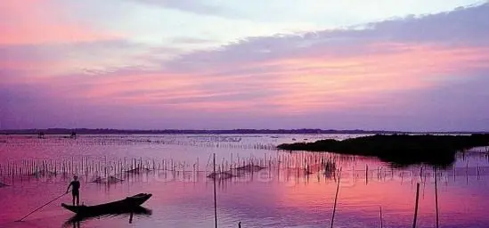 Mangrove Forest in Dongzhai Port
