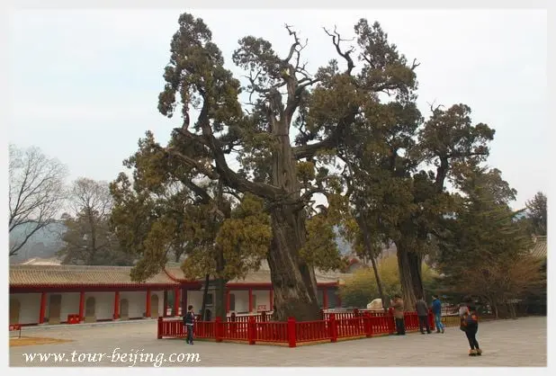 How to Visit Huangdi Mausoleum (Tips, Photos & Map)