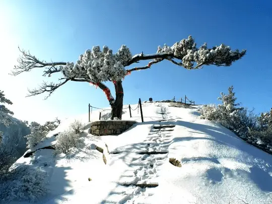 Mount Huashan in White Snow (50