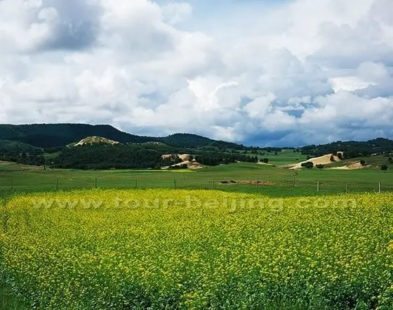 Mulan Hunting Paddock