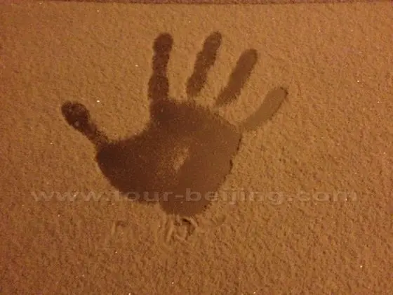 My handprint left on the first snow on February 7, 2014