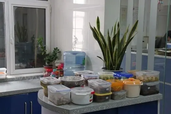 Now all these contained dishes are piled up waiting to be warmed in the microwave oven