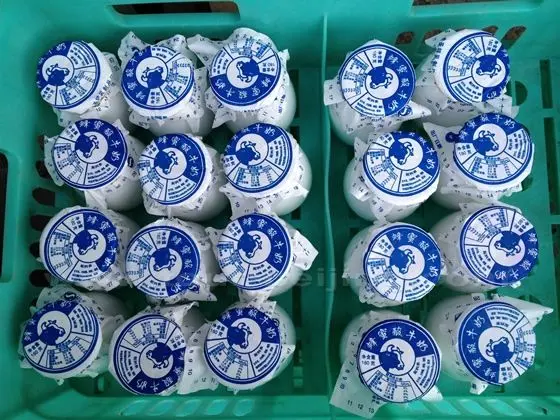 Old Beijing Yogurt seen from the top