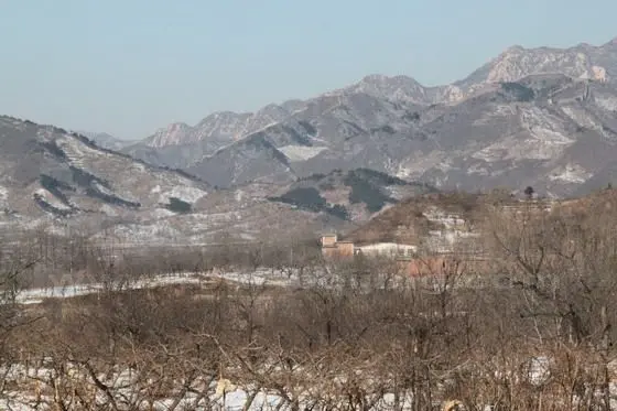 On your left side is an orchard dotted with chestnut trees, Walnut Trees and persimmon trees.