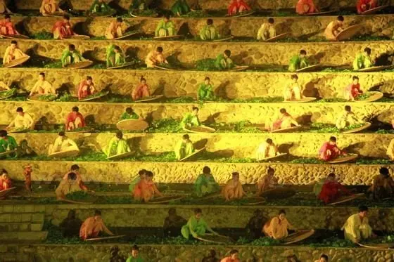 Picking and selecting Tea