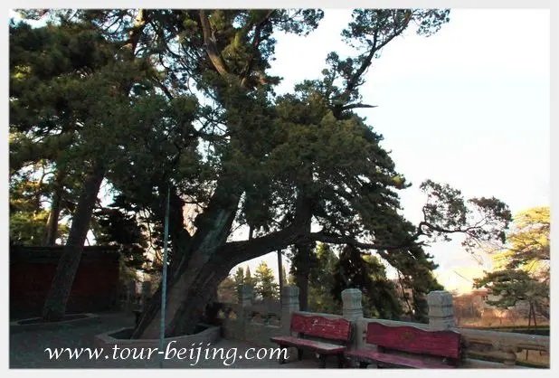 Jietai Temple (Tips, Photos & Map)