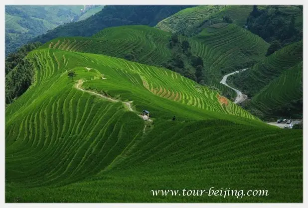 How to Visit Longji Rice Terraces from Guilin (Tips, Photos & Map)