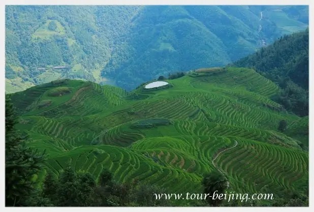 How to Visit Longji Rice Terraces from Guilin (Tips, Photos & Map)