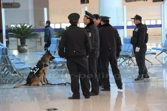 Policemen and the police dog are also waiting at the Exit 03