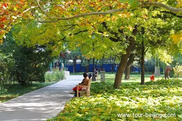 Best Places to See Fall Foliage in Beijing (Tips, Photos & Map)