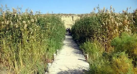 Reed Valley at Shui Dong Gou