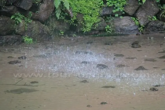 Rippled pond under the falling water from the top in the Water Curtain Cave.