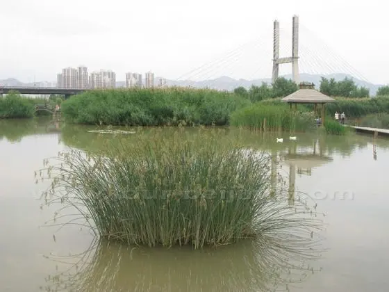 River, bridge, pavilion, grass and birds