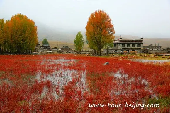 Drive from Litang to Daocheng (Tips, Photos & Map)