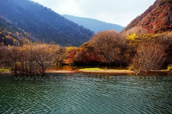 Autumn Color at Shangwuzhuang Water Gorge at Huangzhong County