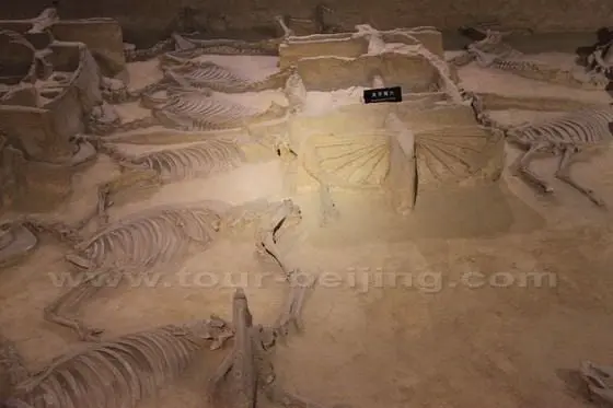 Top 10 Attractions in Luoyang (Maps,Tips and Photos)