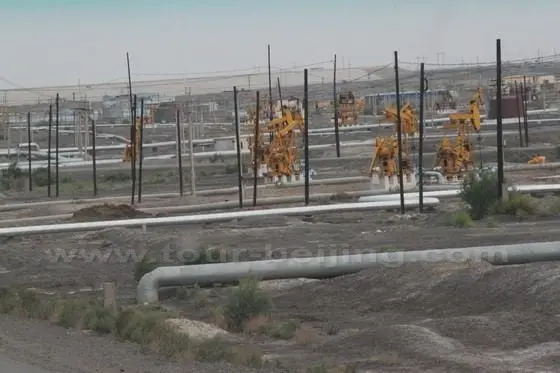 Smaller sized jumpjacks for pumping thick oil using the steam through the tubes fixed above the oilfield.