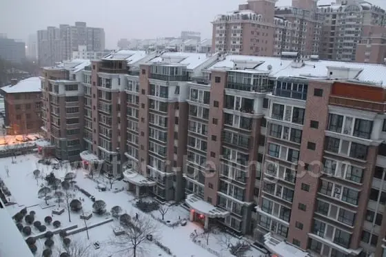 Snow in our residential block shot through my window