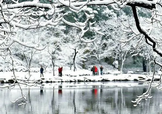 Inverted snow scene reflected on the water.