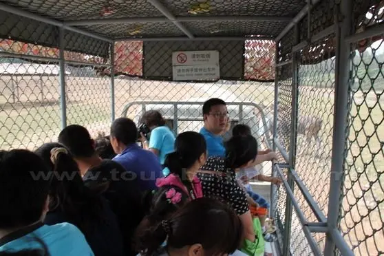 So we have to be caged in order to get a close look at the animals in the roaming area.