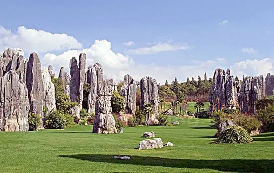 Stone Forest