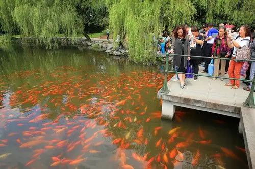 Red Carp Pond