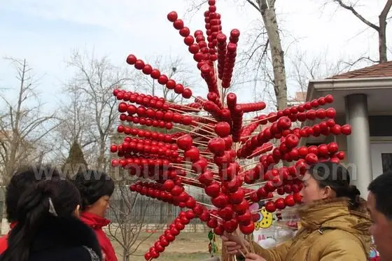 Sugar Coated haws on a stick