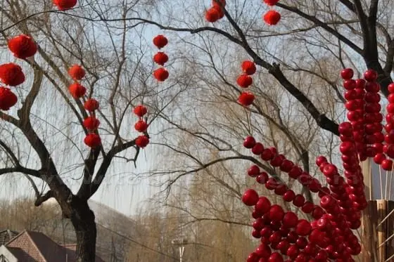 Sugar coasted haws and res lanterns