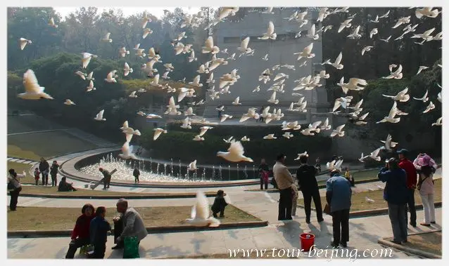 Sun Yat-sen Mausoleum Music Stage (Tips, Photos & Map)