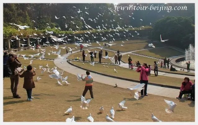 Sun Yat-sen Mausoleum Music Stage (Tips, Photos & Map)