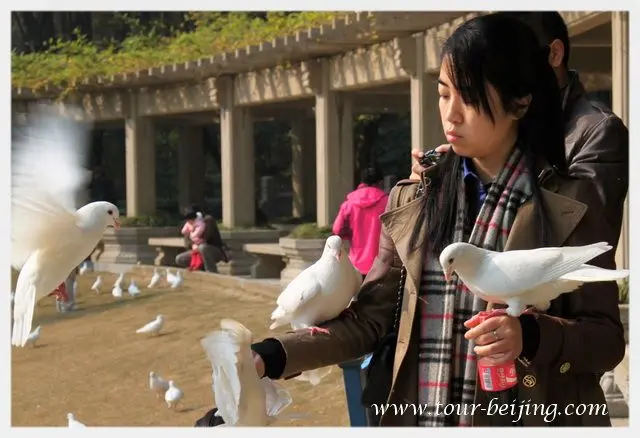 Sun Yat-sen Mausoleum Music Stage (Tips, Photos & Map)