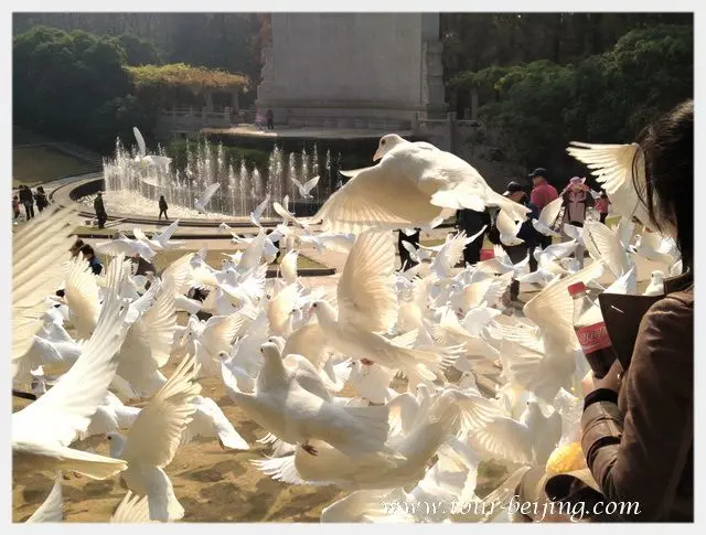 Sun Yat-sen Mausoleum Music Stage (Tips, Photos & Map)