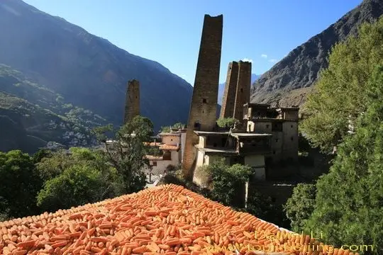 Suopo Watchtowers