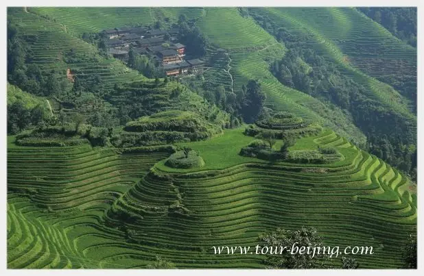 How to Visit Longji Rice Terraces from Guilin (Tips, Photos & Map)