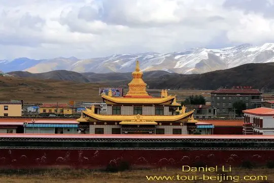 Tagong Temple Pagoda Forest