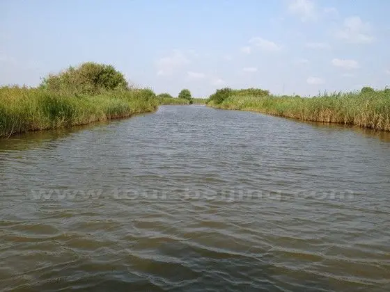 Taking a boat and passing the reed marshes the Yellow River Reserve.