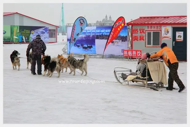 Harbin Ice and Snow Happy Valley (Tips, Photos & Map)