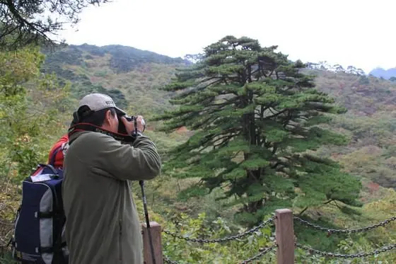 My Second Day on Mount Huangshan (1)