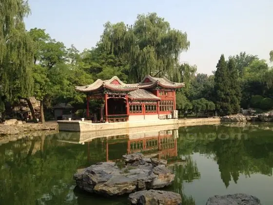 The Stone Boat Cafe where you can enjoy a cup of tea or drink beer and watch the world going by