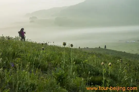 The amazing fog
