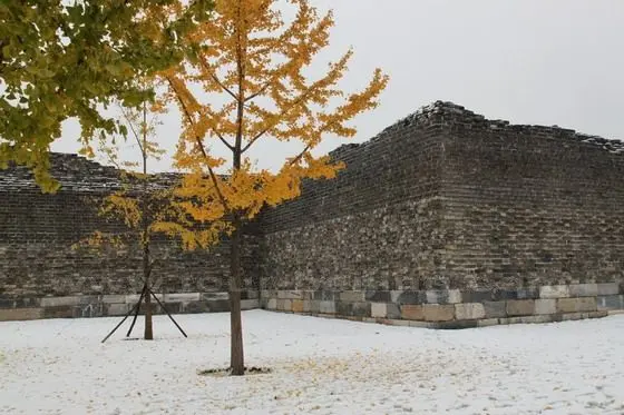 The autumn leaves and the snowfall stay peacefully