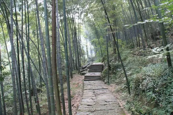 My Second Day on Mount Huangshan (1)