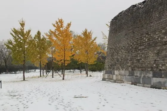 The beautiful autumn leaves and the massive terrace of the city wall.