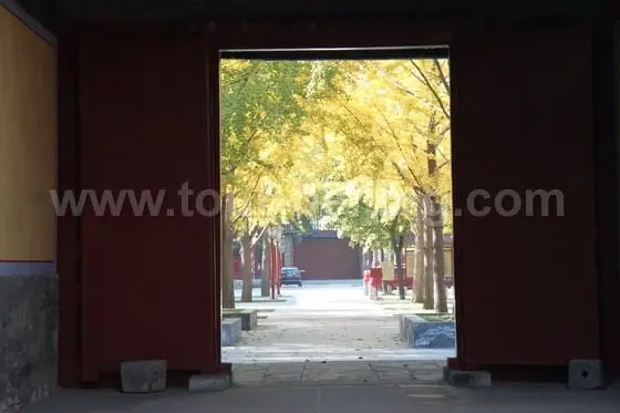 How to Visit Confucian Temple and Imperial College Museum (Tips, Photos & Map)