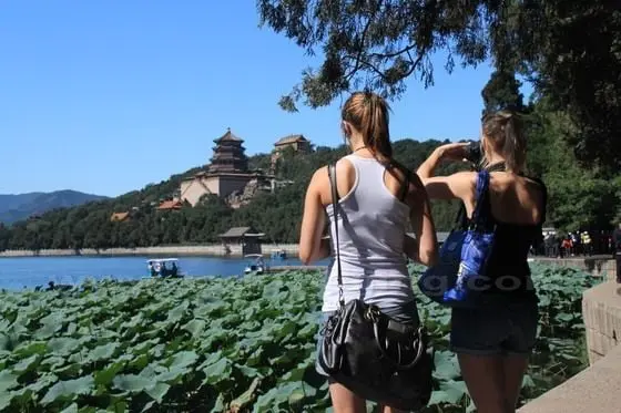 The green lotus leaves hold the Tower of Buddhist Incense