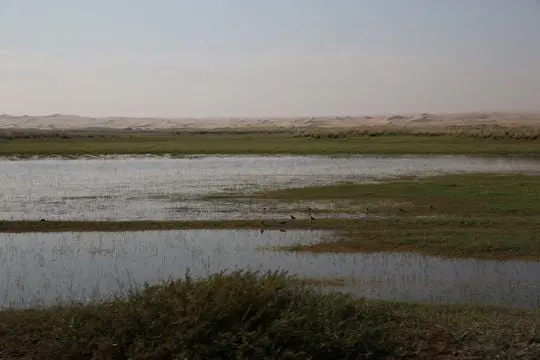 The lake, the wetland grassland and the Tengger Desert