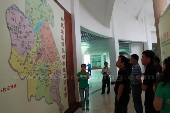 The musuem guide gives us a brief introduction to the distribution of the prehistoric fossils
