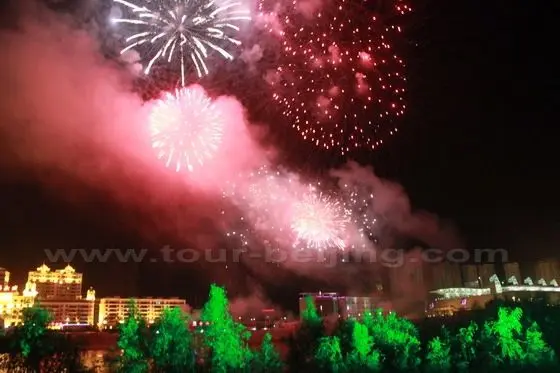 The openning ceremony was finished around 1030pm with the fireworks.